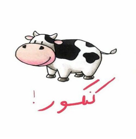 کنکور دارم هیچی نخوندم (عکس نوشته و متن)