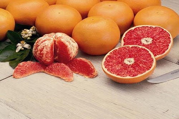 عکس پروفایل میوه ها
