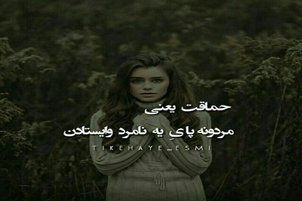 عکس پروفایل حماقت (آلبوم عکس ها)