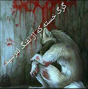 عکس نوشته گرگ