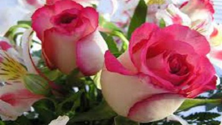 تعبیر خواب زنی که ریش دارد