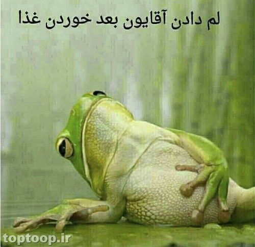 جوک و عکس خنده دار با حال تلگرام
