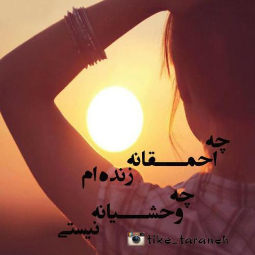 من چقدر احمقم