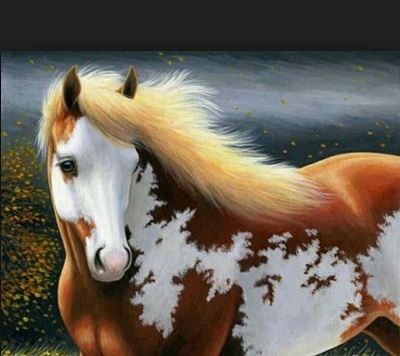 اسب های قشنگ