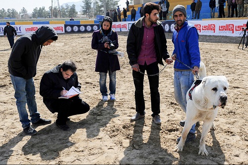 مسابقات سگ اصفهان