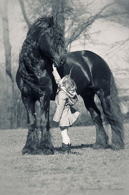عکس اسب و بچه