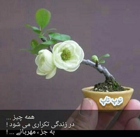 toptoop.irعکس نوشته از تاثیر مهربانی در زندگی toptoop.irعکس نوشته از تاثیر مهربانی در زندگی