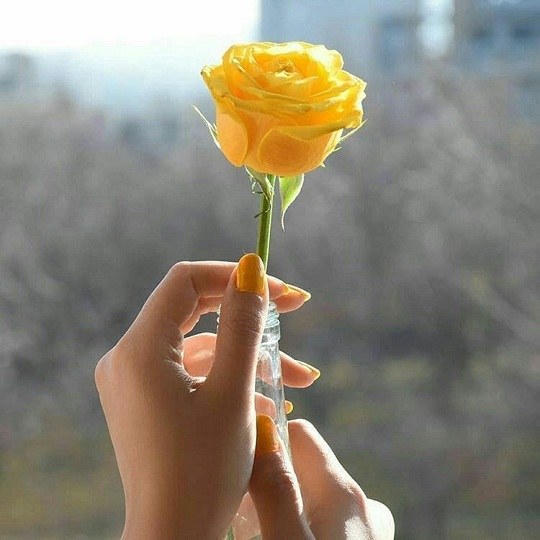 عکس دخترونه گل زرد