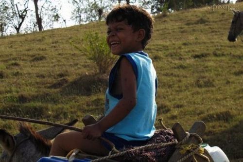 پسر لاکپشتی در کلمبیا