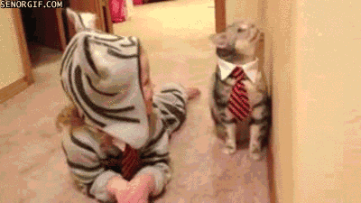 عکس متحرک بچه با گربه خنده دار