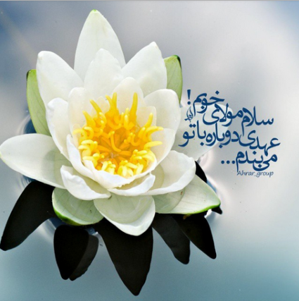 سلام مولای خوبم عهدی دوباره با تو میبندم سلام مولای خوبم عهدی دوباره با تو میبندم