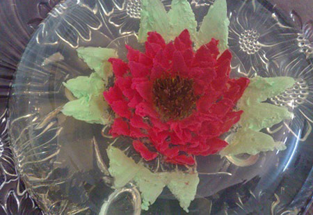  آموزش تصویری درست کردن ژله تزریقی به شکل گل 