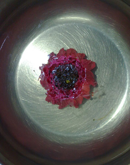  آموزش تصویری درست کردن ژله تزریقی به شکل گل 
