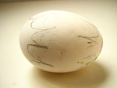 تخم مرغ رنگی 94