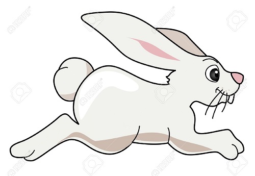 toptoop.ir نقاشی خرگوش در حال دویدن
