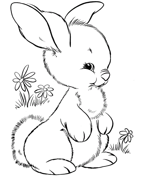 گالری تصاویر زیبا از خرگوشهای کارتونی
